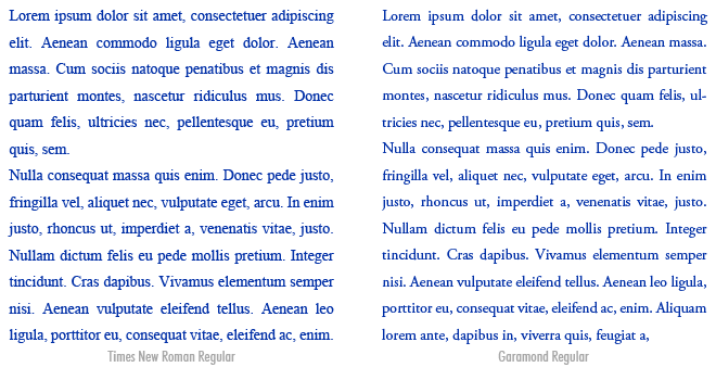 text in Times New Roman and Garamond